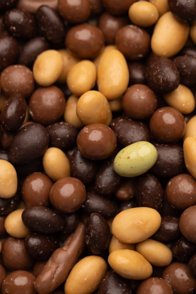 Mélange de Fruits Secs Enrobés de Chocolat