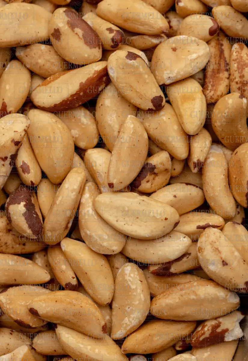 Noix de Brésil sans Sel - جوز برازيلي غير مملح — fruits secs Guermello