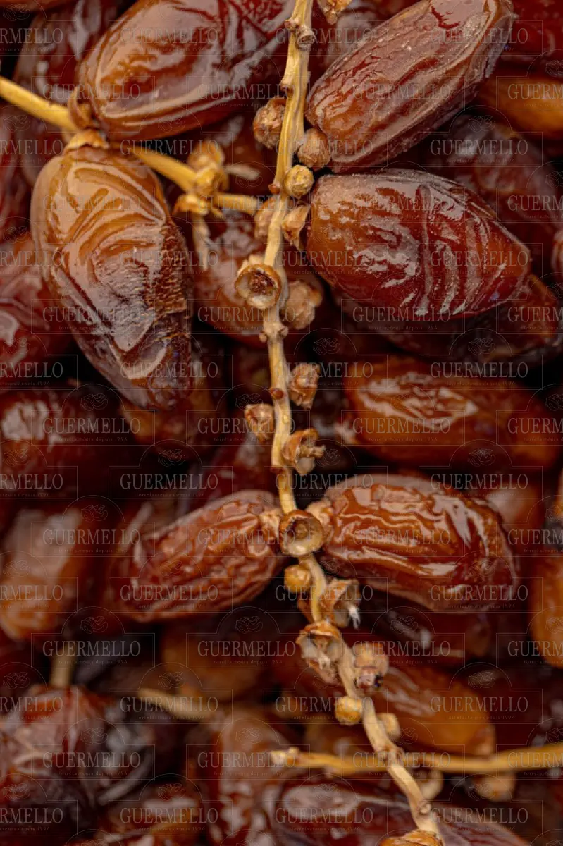 Dattes de Tunisie - تمر تونسي — fruits secs Guermello