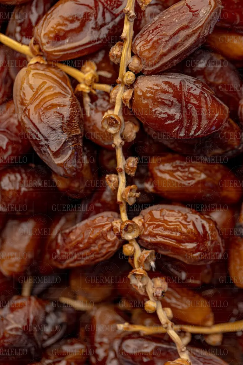تمر تونسي — Guermello nuts & dried fruit