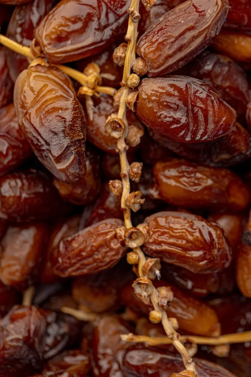 Dattes de Tunisie - تمر تونسي — fruits secs Guermello