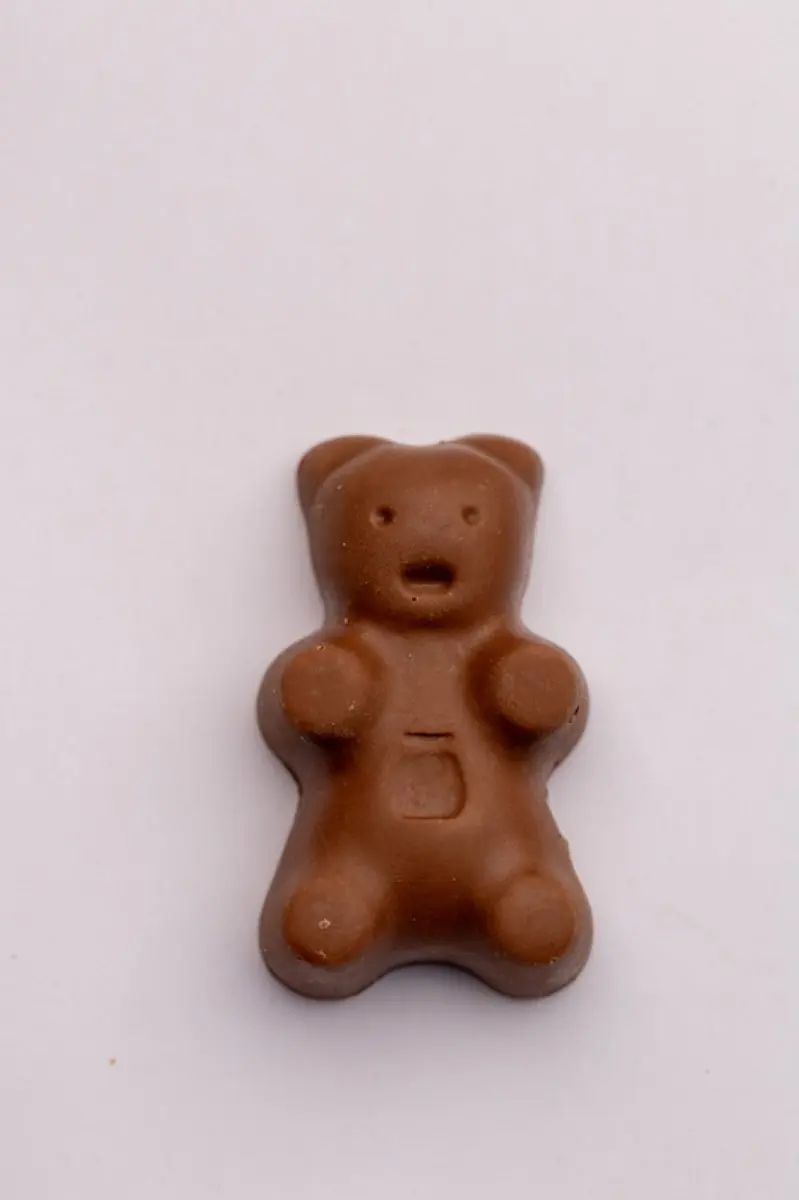 Ourson Chamallow au Chocolat - دبدوب المارشميلو بالشوكولاتة — fruits secs Guermello